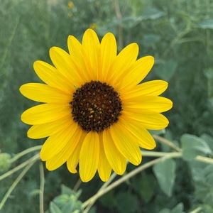 Meet your Posher, Audry Lace